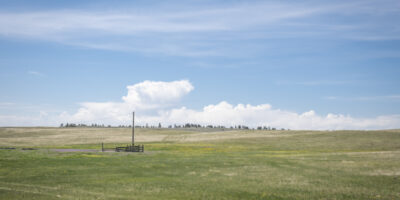 montana grass montana grass