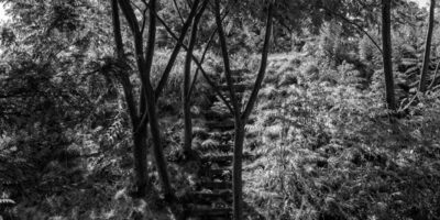 steps-brooklyn steps-brooklyn