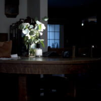 flowers-shadow flowers-shadow